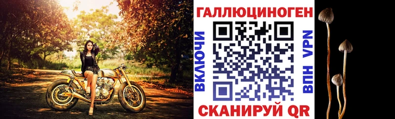Псилоцибиновые грибы мухоморы  Купить  Ишимбай 